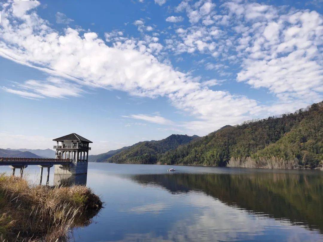四方井优质水是这样涵养出来的_监测_水库_源地