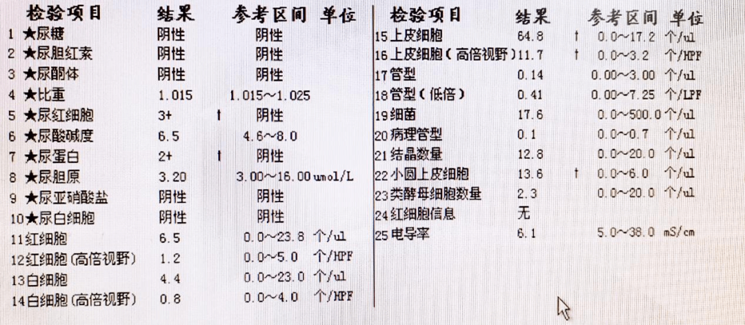 尿沉渣红细胞计数图片