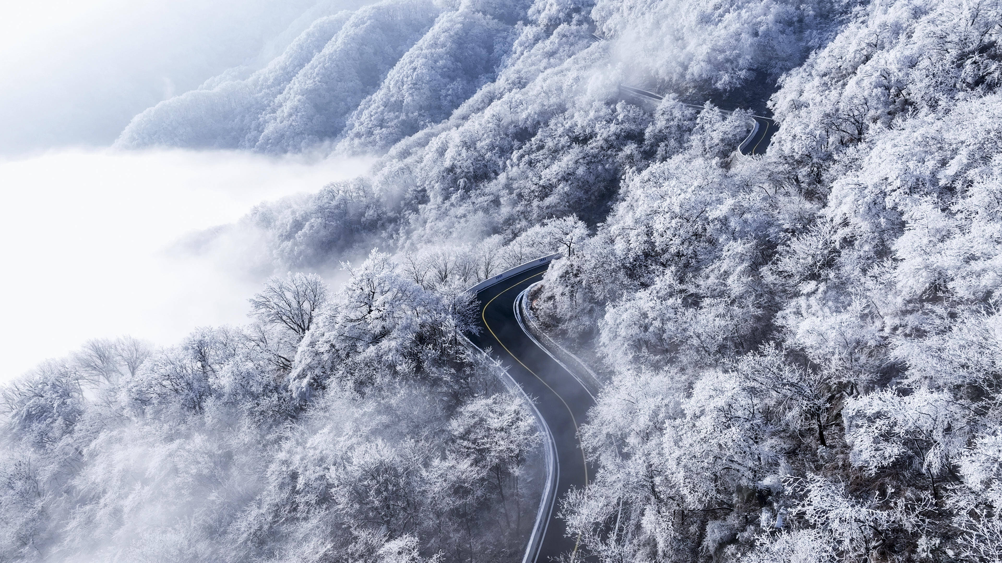 雪花飞舞的图片 壁纸图片