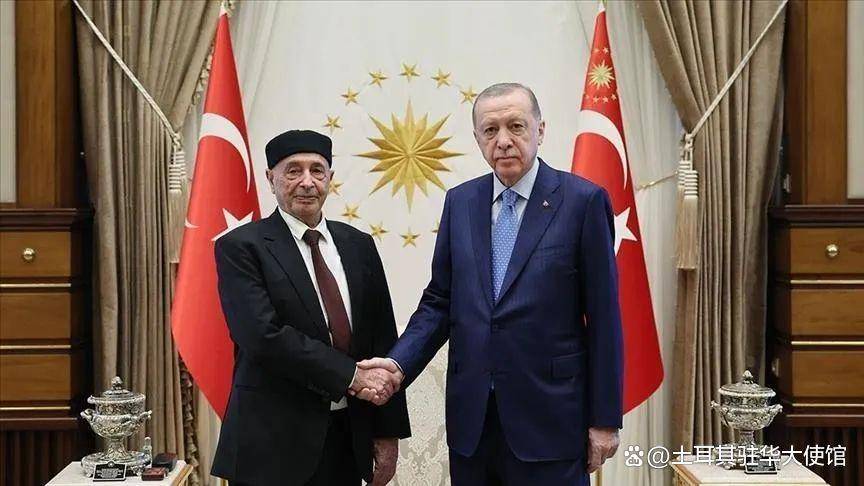 土耳其总统埃尔多安会见利比亚众议院议长_阿吉拉·萨利赫_人民_支持