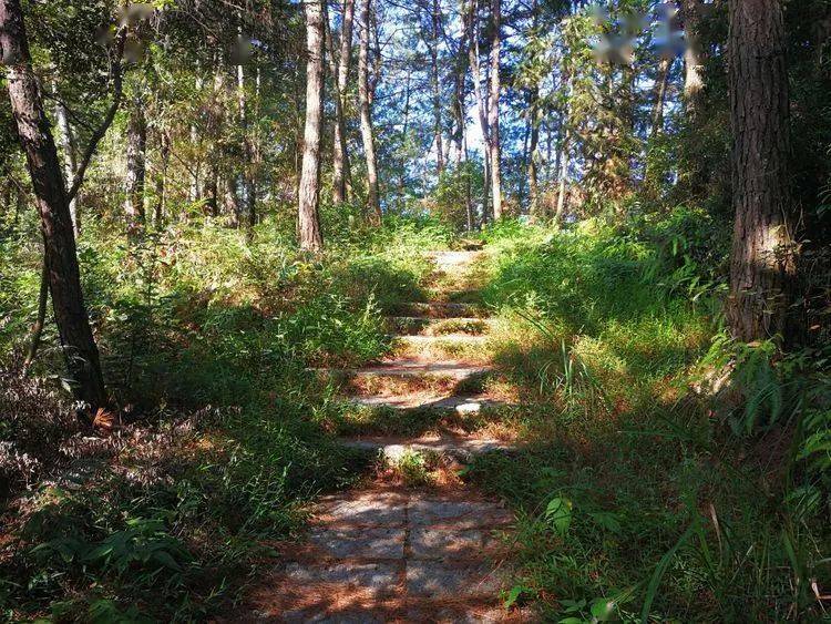 白馬山森林公園登山,騎行,遇見不一樣的冬景說到登山,白馬山森林公園