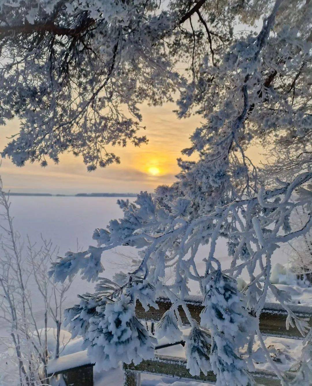 一缕温情,一片雪景