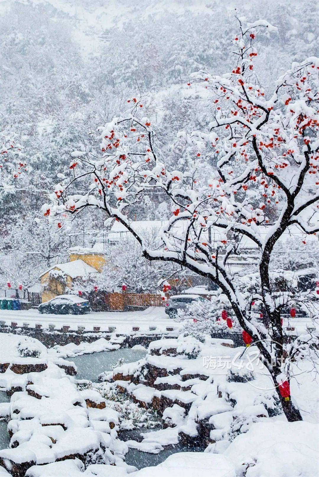 冬游威海 | 浪漫傲雪,心之所向皆为远方_仙姑_攻略_柿园
