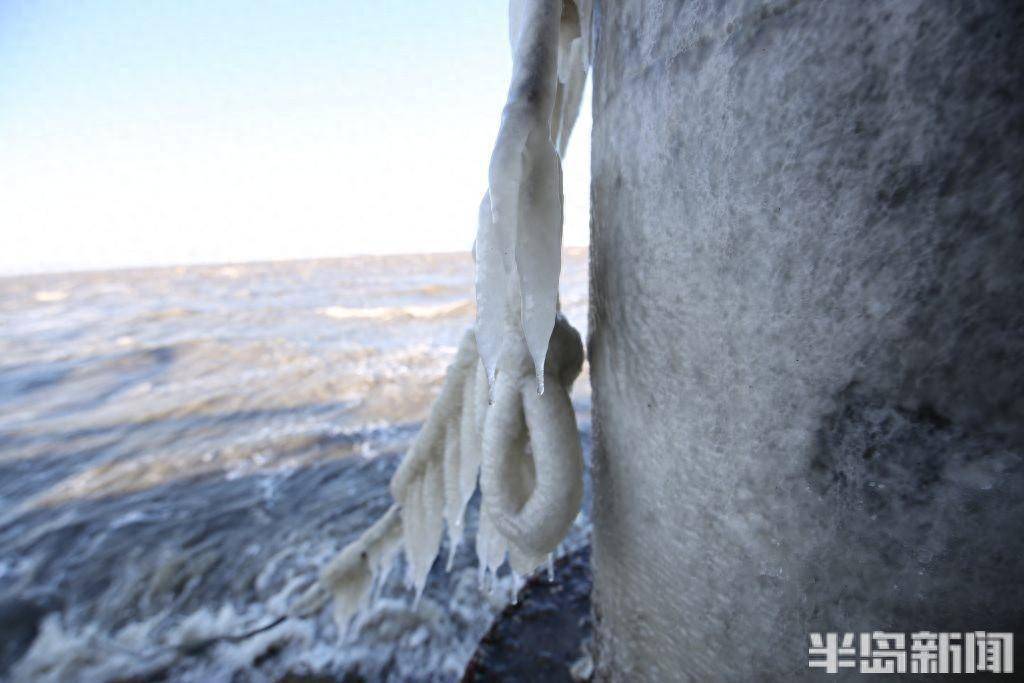速冻海冰凌，青岛胶州湾出现海冰凌景观