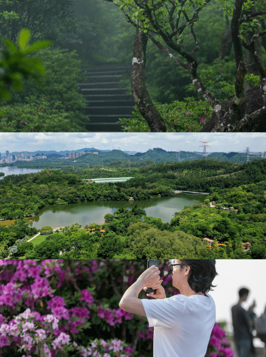 门票:免费免预约地址:深圳市罗湖区新平大道东北侧交通:地铁2号线梧桐