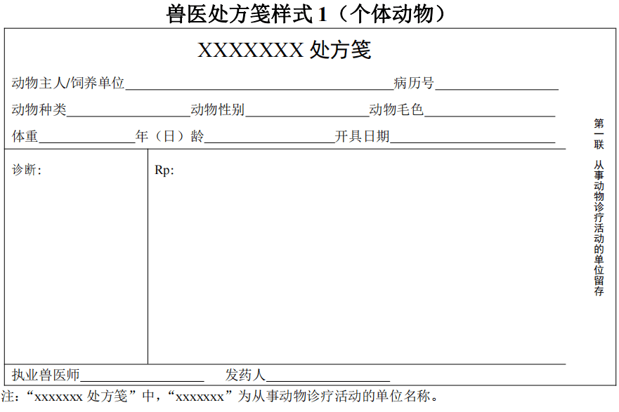 病理报告单图片 模板图片