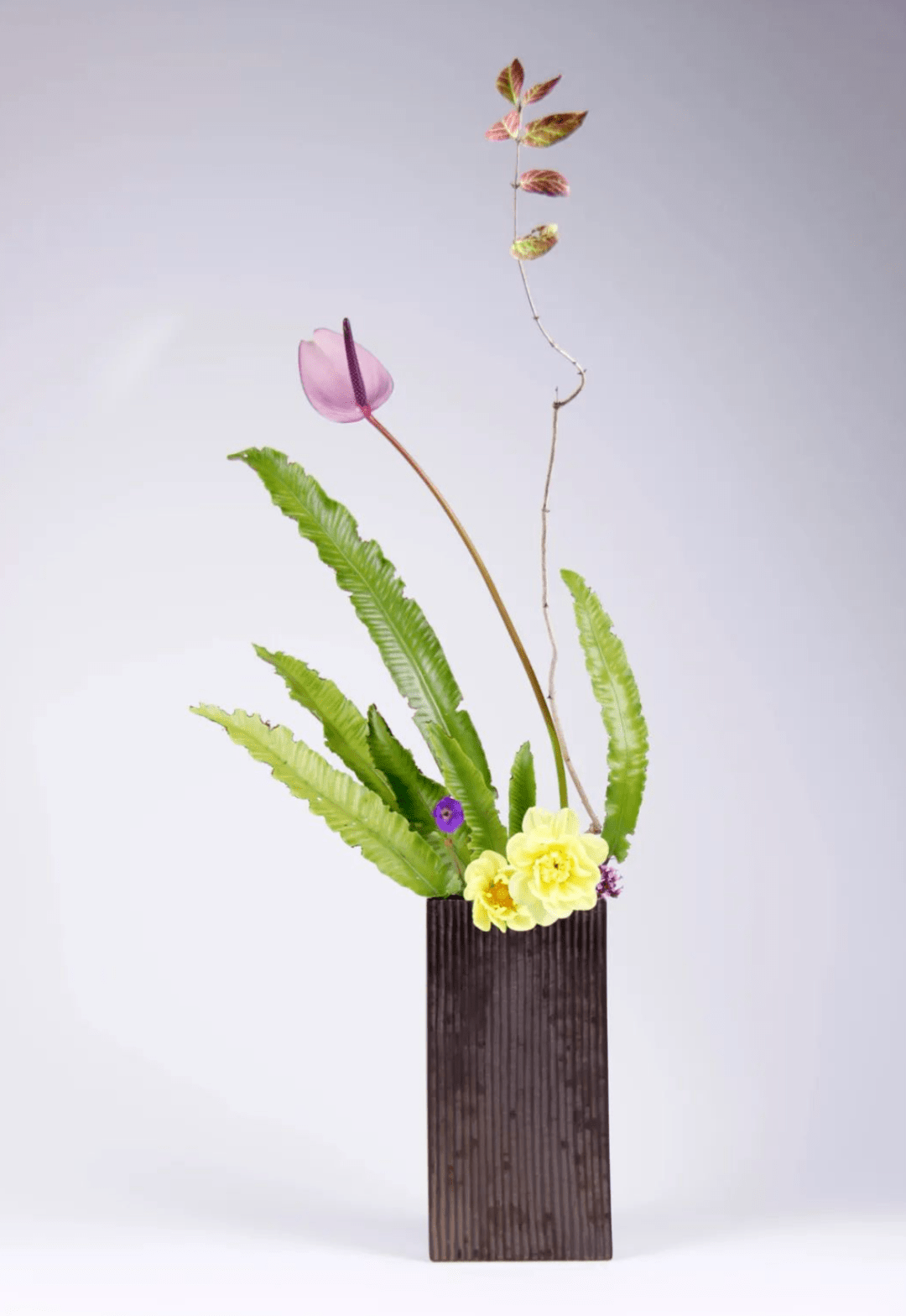 插花_海棠_袁氏