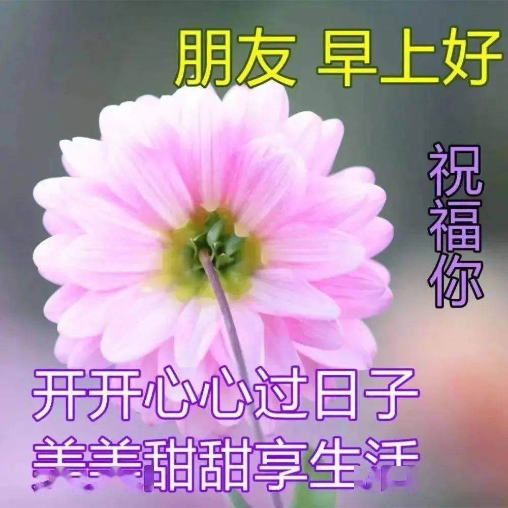 清晨问候语图片温馨图片