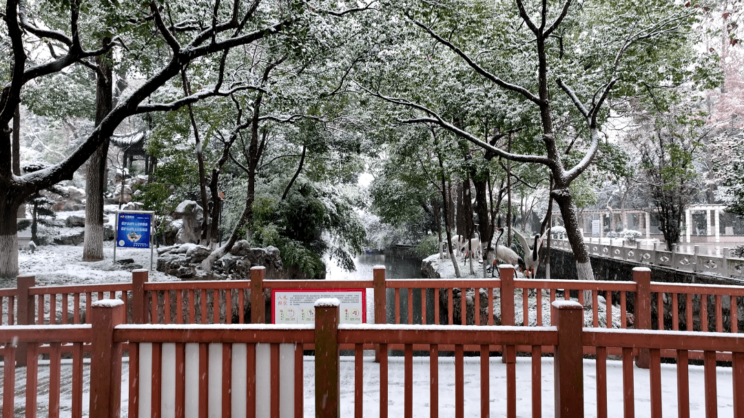 姜堰微视听,泰州微视听,高港凤栖湖景区,智慧泰兴,泰州职业技术学院