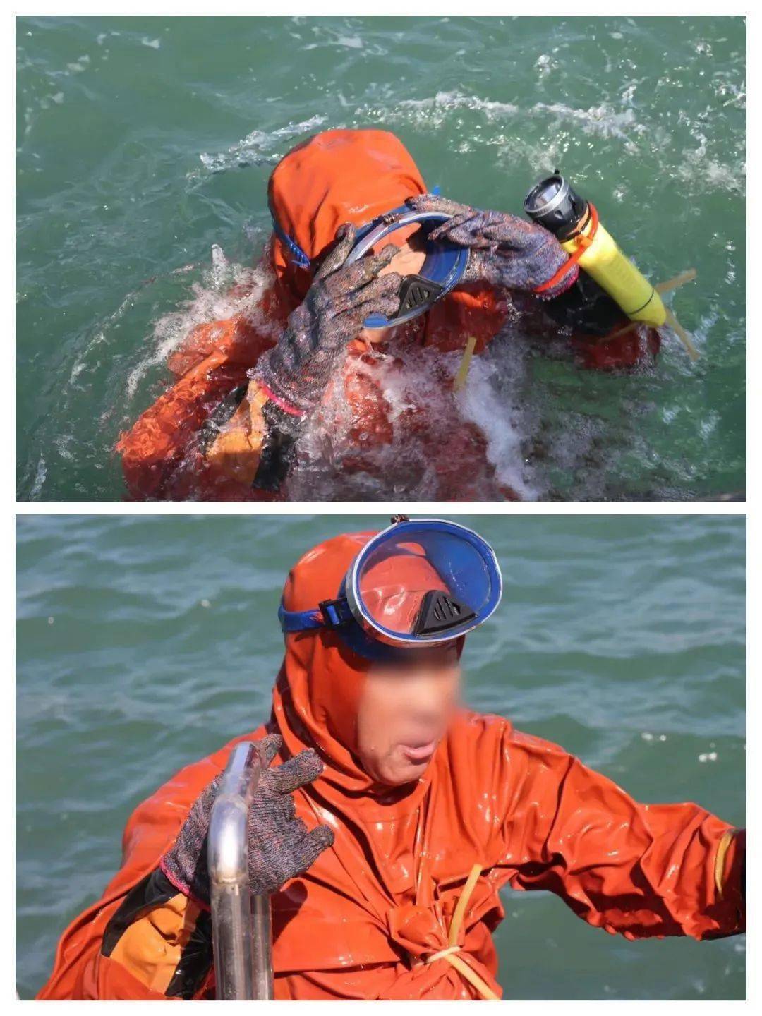 渔民一番话让人恍然大悟.|深度揭秘_阿峰_加工_老百姓