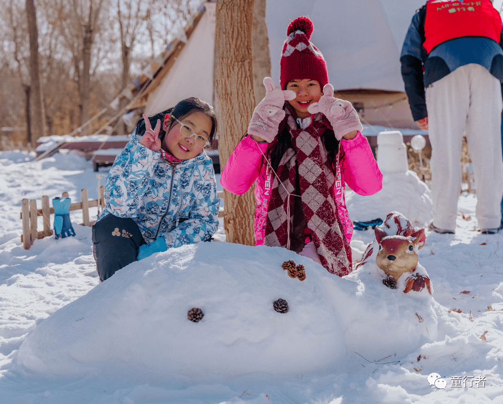 在從來沒踩過的雪裡聽每一步落下的咔嚓聲躺在雪裡望著枯枝和藍天敲一