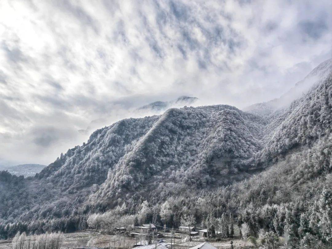 一场大雪,让大瓦山美出了圈!_金口河_版权_银装