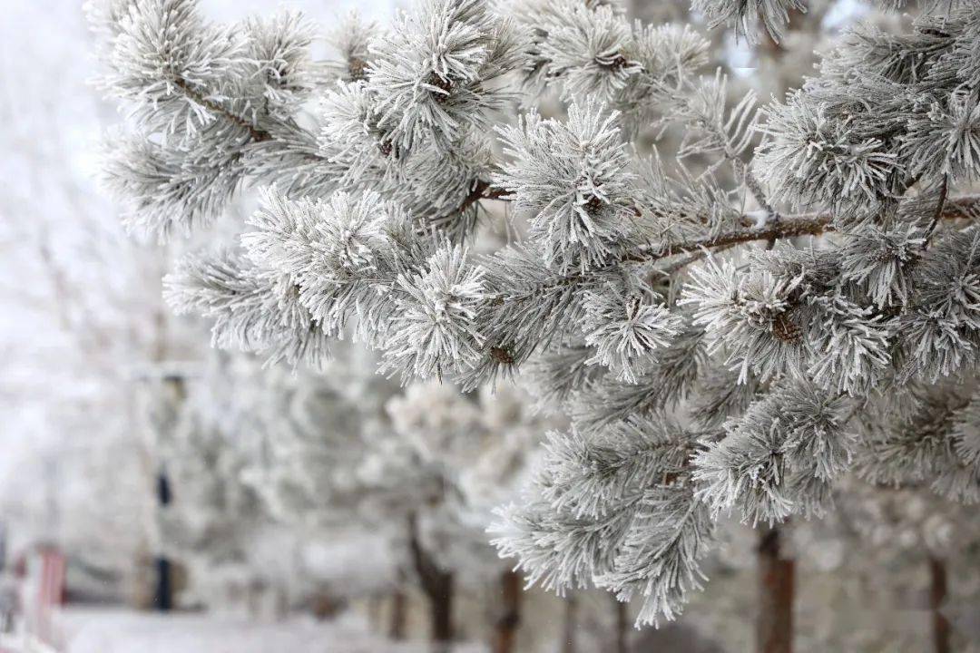 张北一大波雪景美图来袭