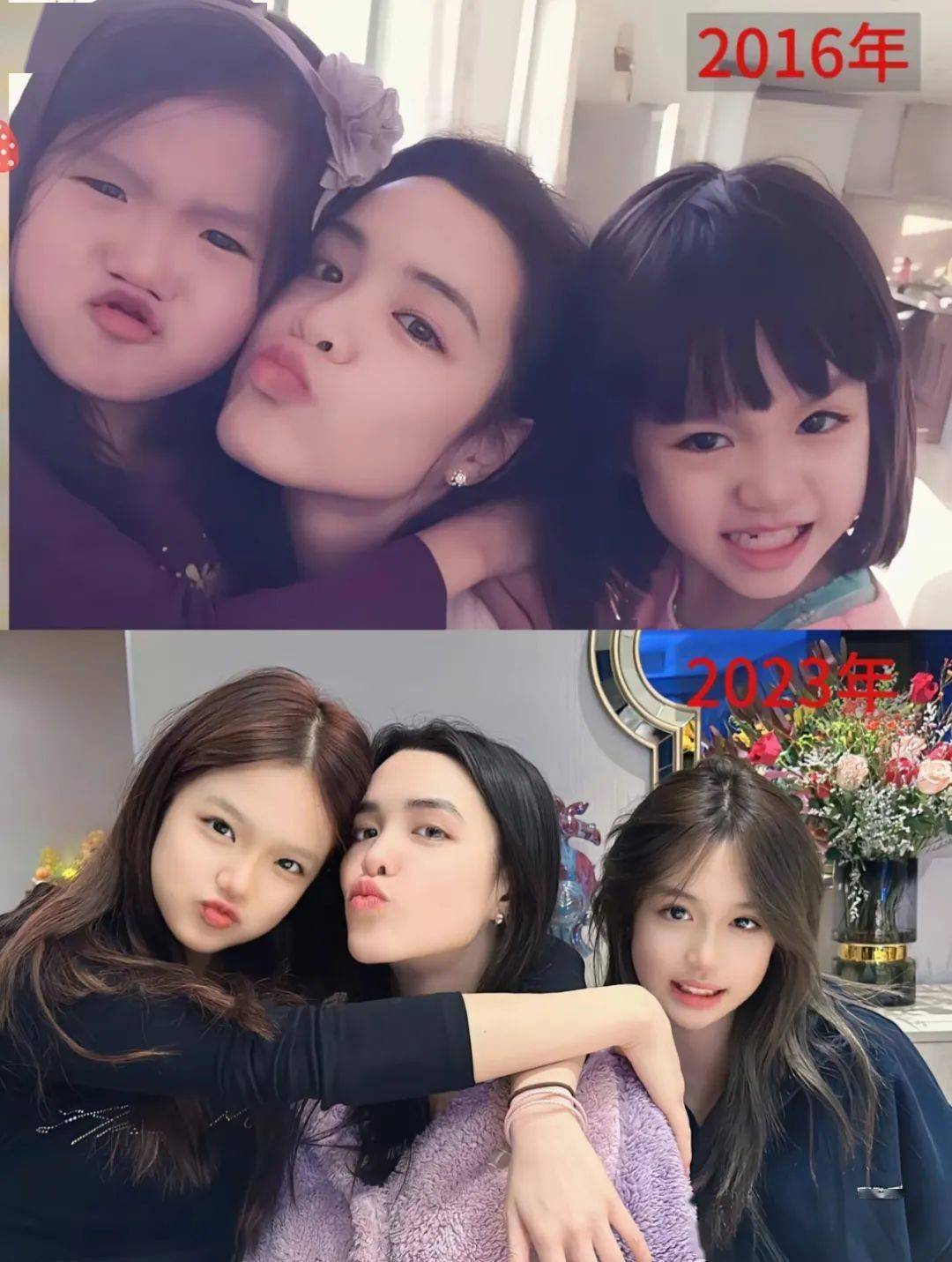 还记得钟丽缇的两个小女儿吗?都成大网红了?_jaden_cayla_妹妹