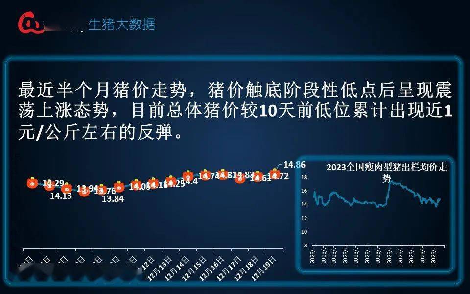 生豬現貨日報|全國均價14.86元/公斤 出欄積極性升高