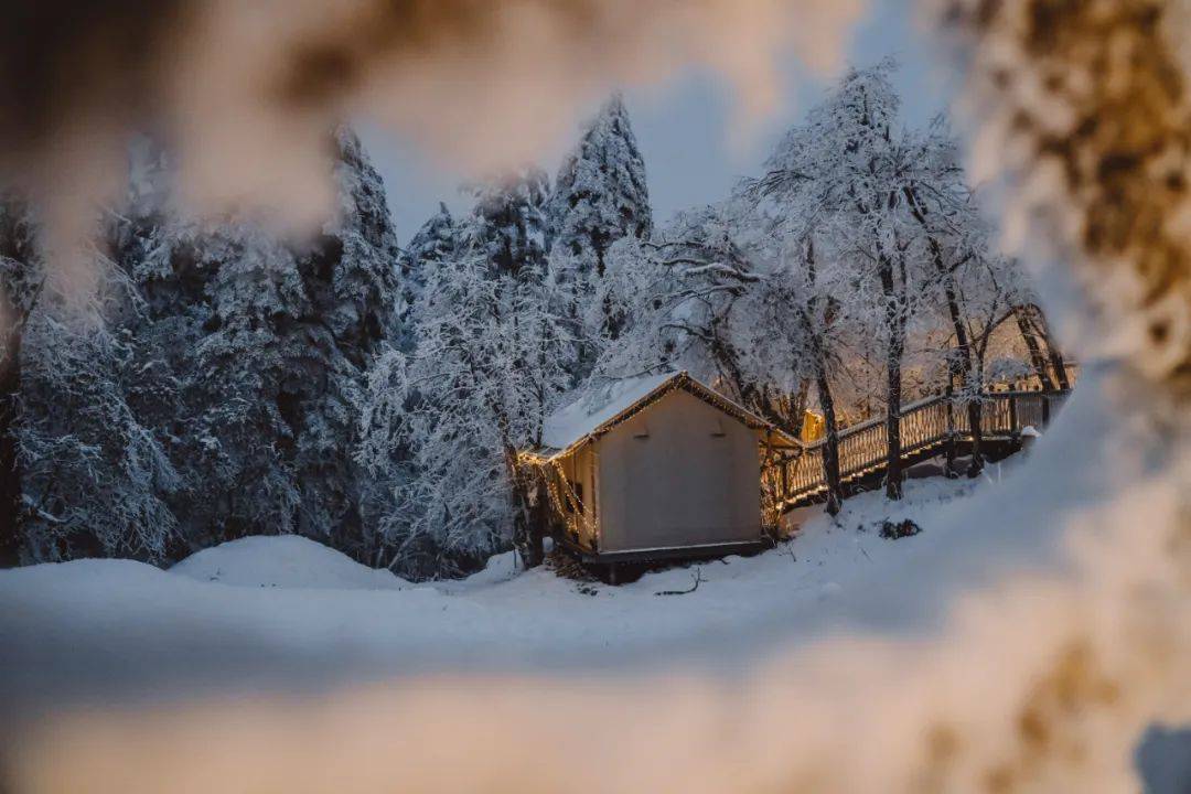 12月22日,峨眉山滑雪場正式開業!_雷洞_觀光車_雪地