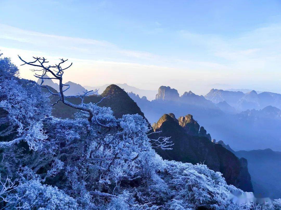 圣堂山现雾凇奇观,群峰白头"绽放"南国冬韵_美景_景区_山风
