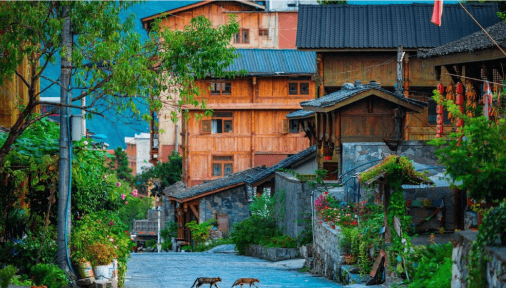 的古镇里艰辛和辉煌那一段流逝在历史长河中的(岚安古寨)俯仰之间都是