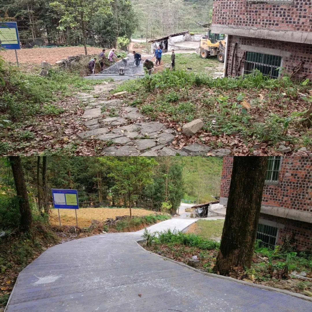 一路携手同行——百色公路发展中心帮扶百色市田阳区巴别乡新平村工作