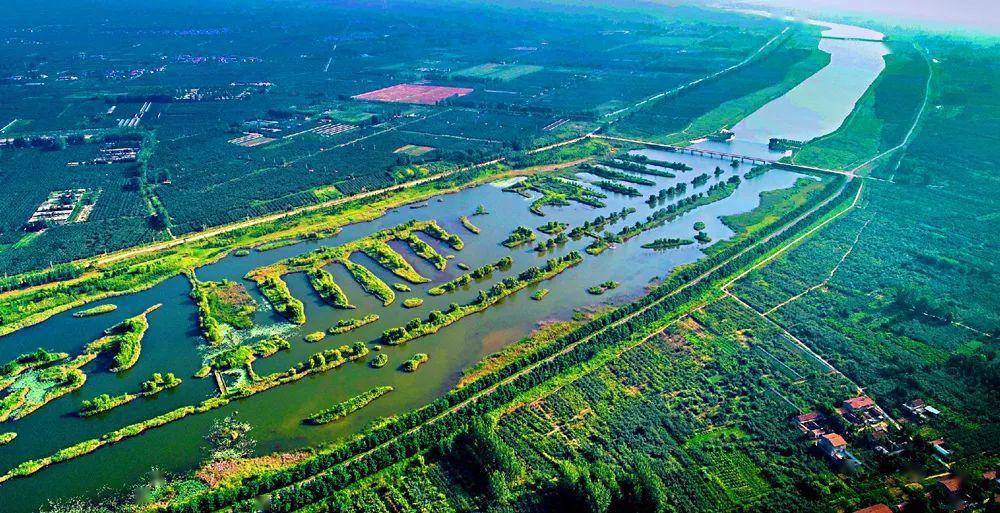 丰县大沙河湿地公园景区拟评定为国家4a级景区_旅游_故道_黄河