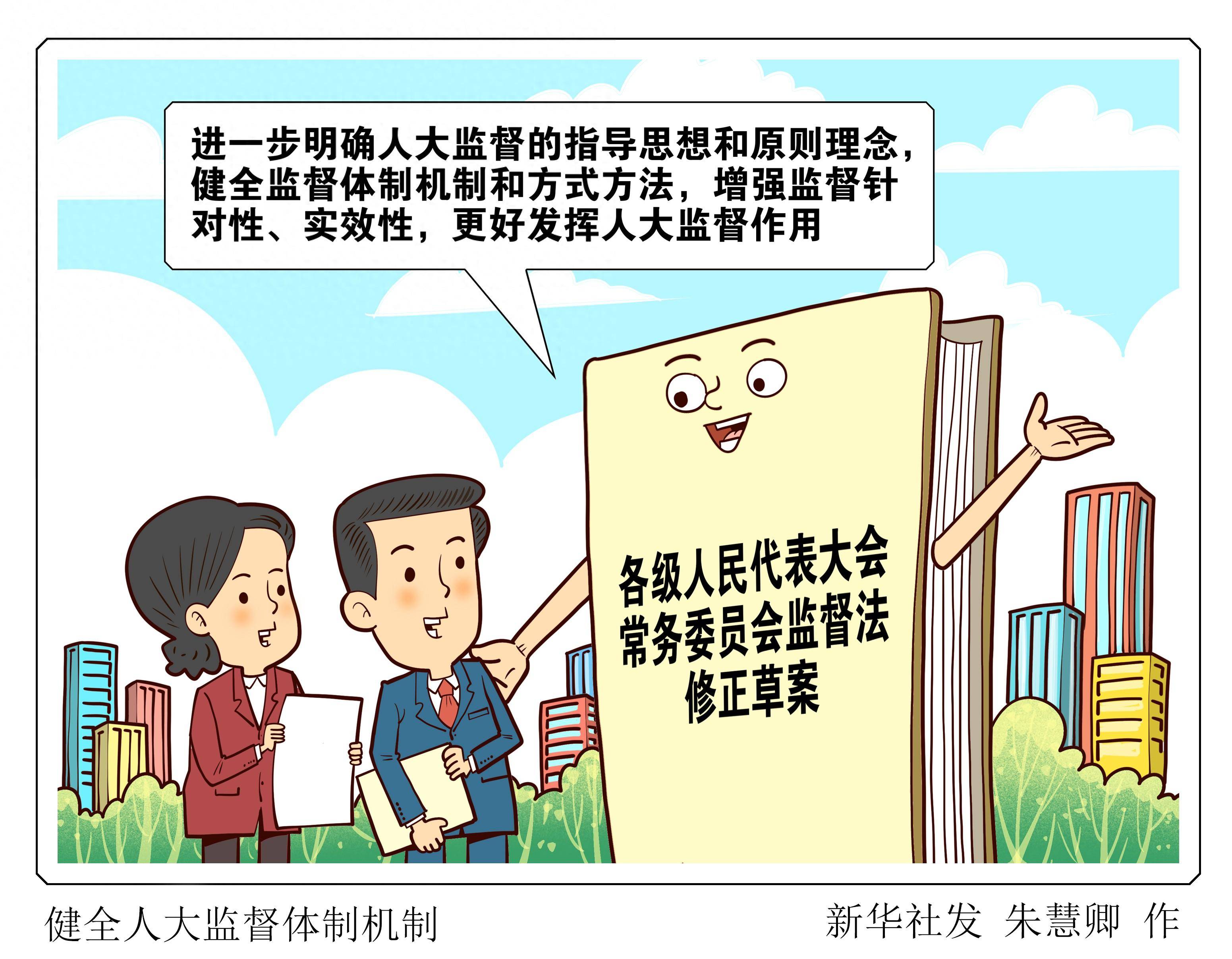 (图表·漫画)〔人大常委会〕健全人大监督体制机制_新华社_草案_作用