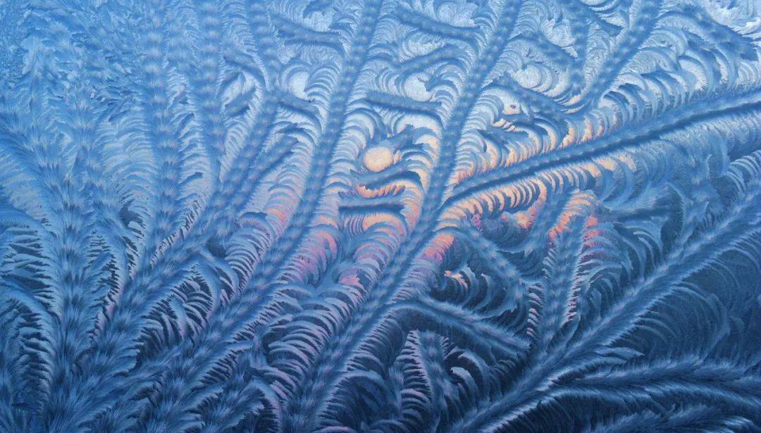 看到熠熠生辉的冰窗花总是能在窗玻璃上每逢冬天的北方"忽如一夜春风