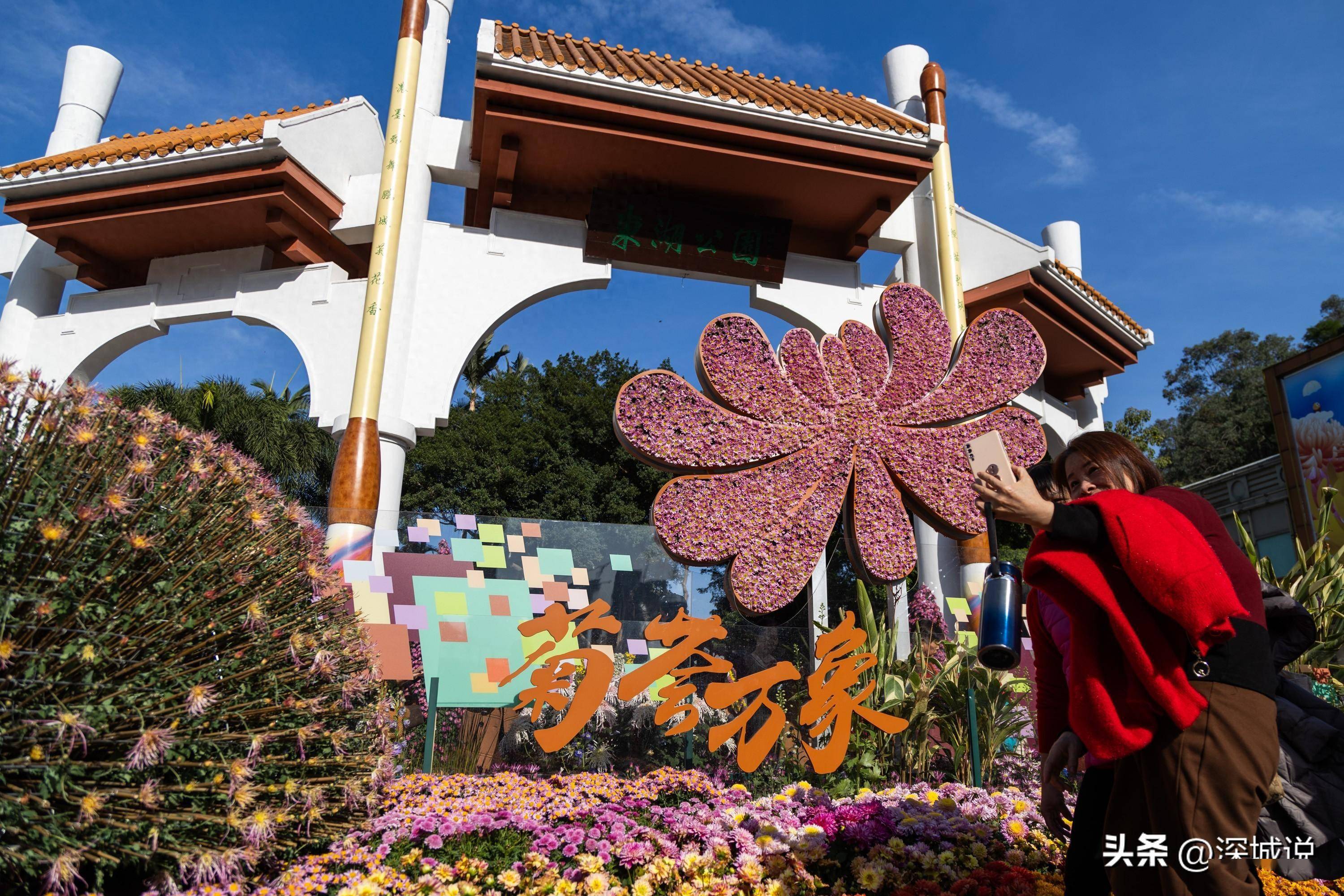 东湖公园深圳菊花展图片