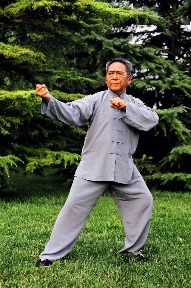 史上神韵独具的十五张太极拳照,真正的大家风范_天下_陈发科_流转