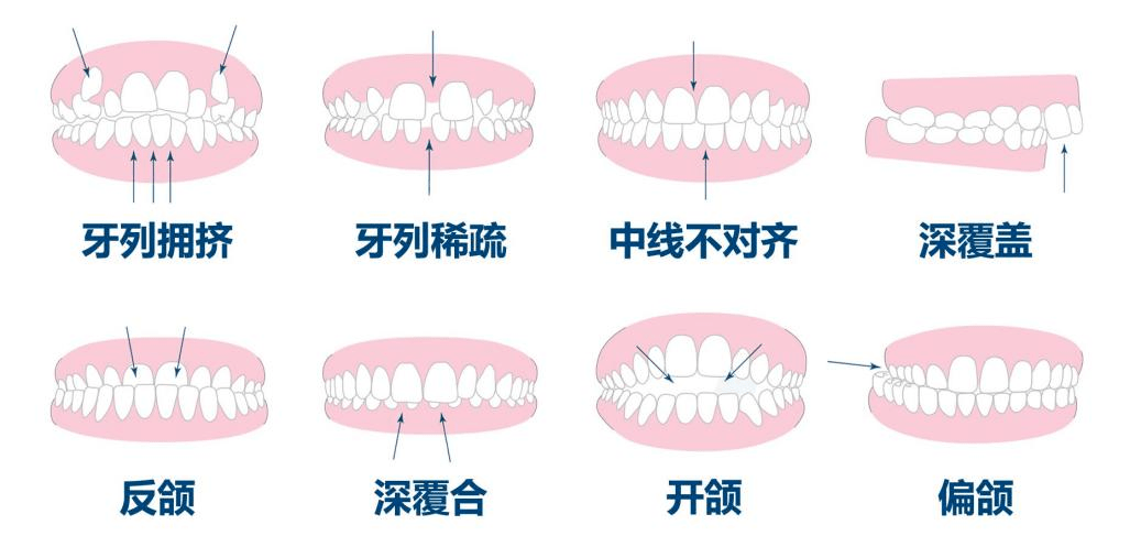 最強掛號指南來了!_診療_牙齒_牙周