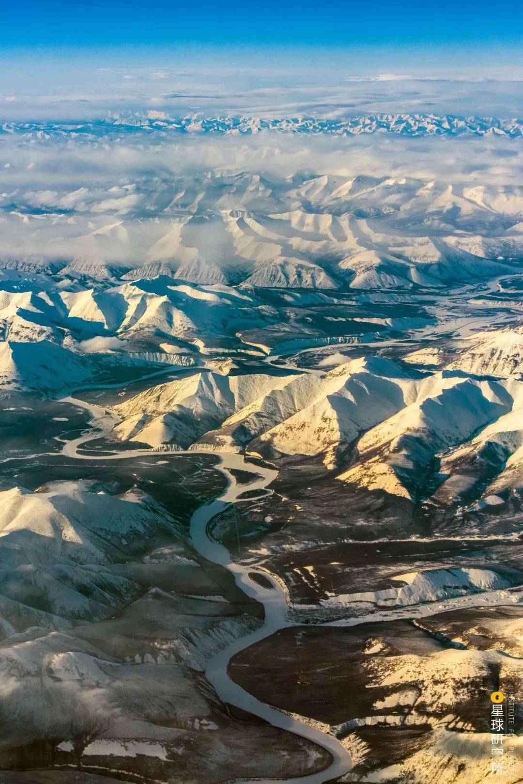 西伯利亚来了,退!退!退!
