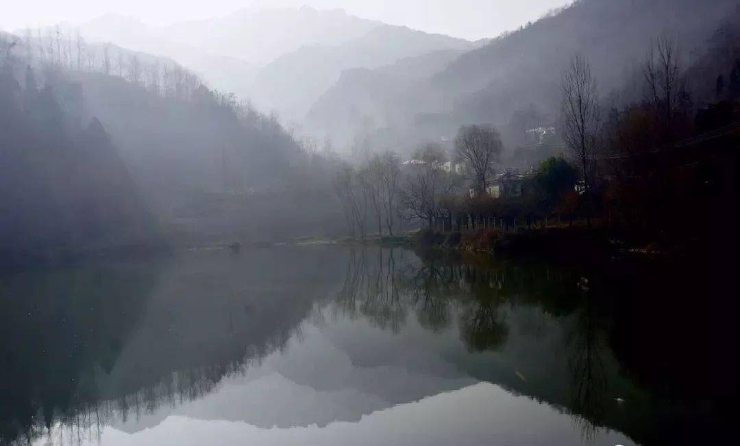 賈平凹/ 冬景_那雪_什麼_葉子