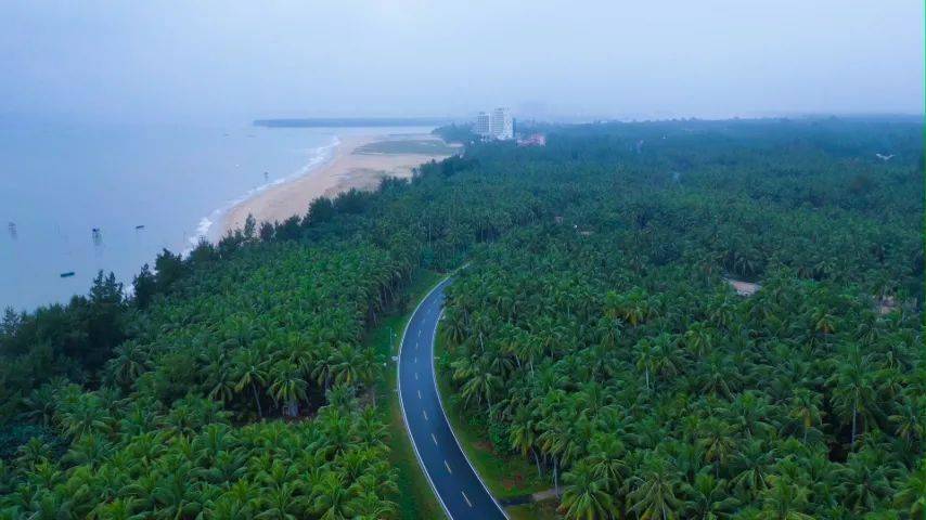 中途的東郊椰林可能是國內離海最近的沿海公路了,一半椰林一半海.