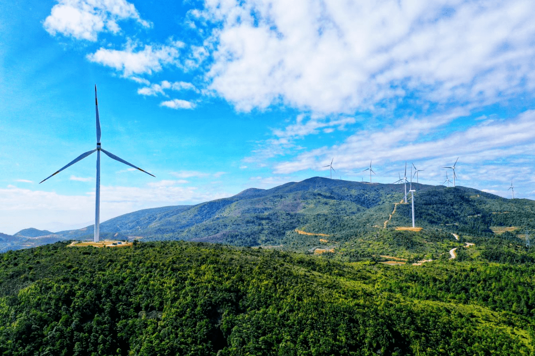 南安市翔云镇:三"美"打造乡村振兴"百里画廊"_旅游_建设_产业