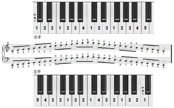 吉他,鋼琴常用和絃圖及音階和聲練習手冊_大調_小調_am--dm--g