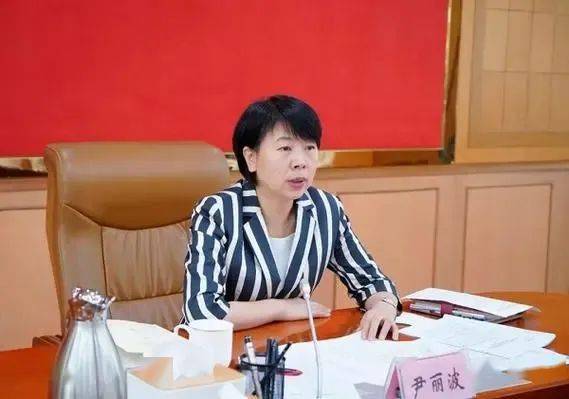 "80后"沈娜任吉林市委常委,市纪委书记_尹丽波_电子工业部_信息安全