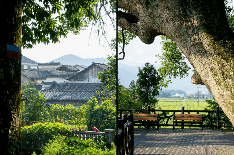 宜丰洑溪古树长廊宜丰天宝古村宜丰洞山宜丰东方禅文化园上高五谷村