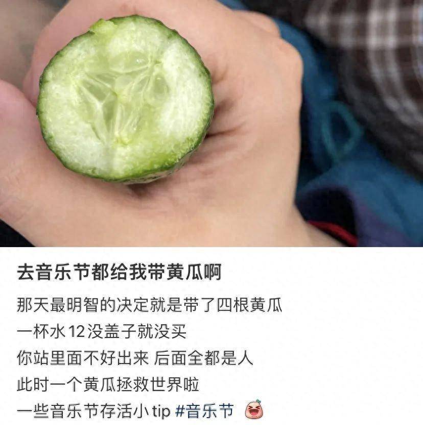 食物中的