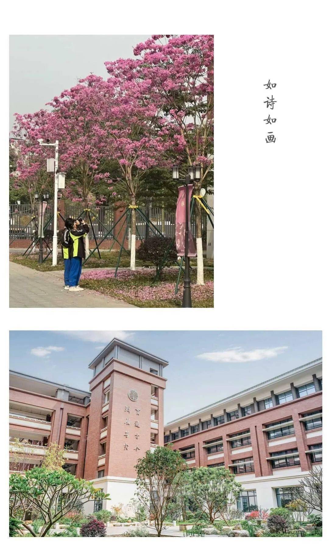 广东广雅中学平面图图片