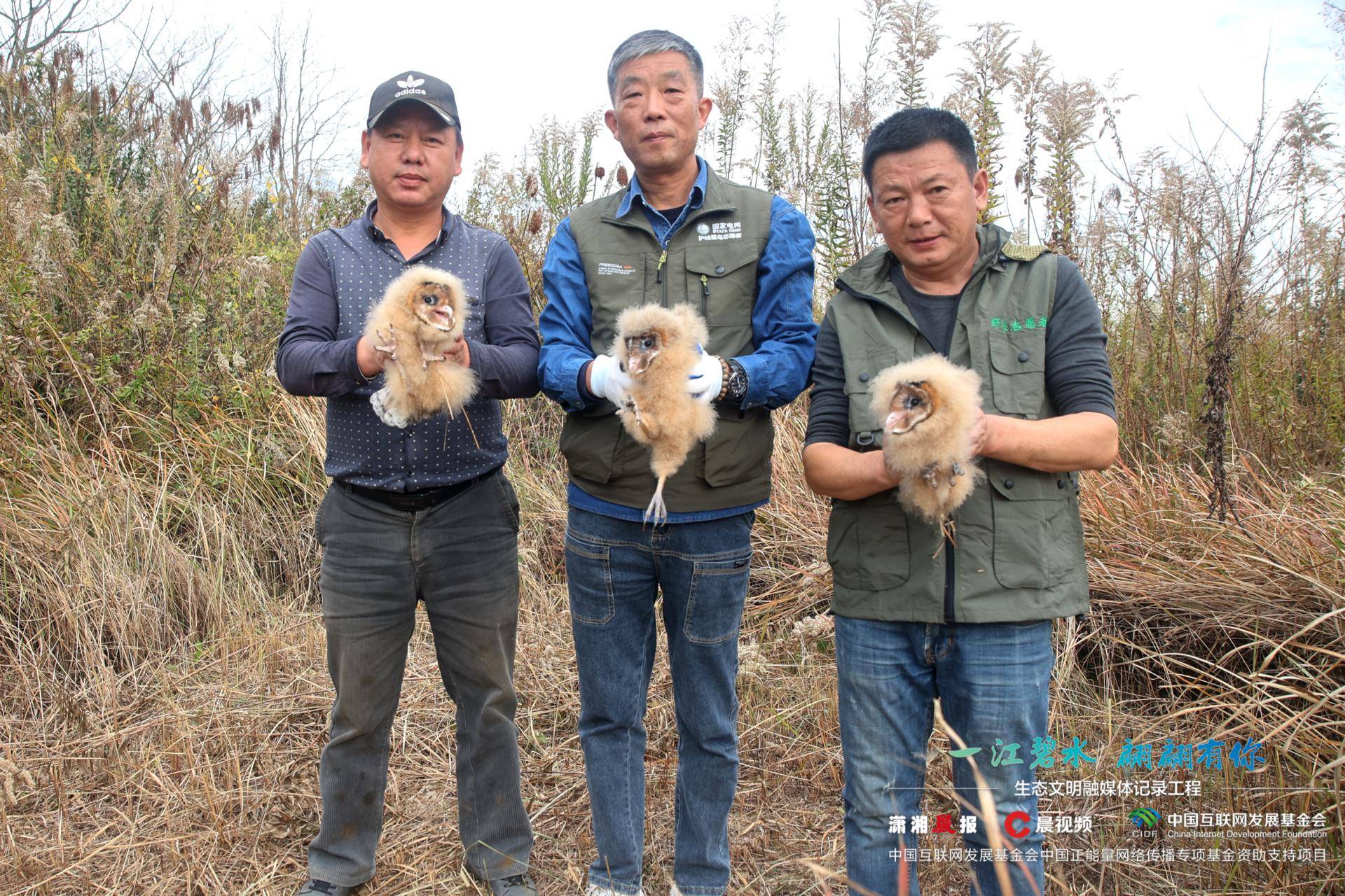 萬里歸途 | 這位護線愛鳥人原來是動畫片裡愛玩屎的