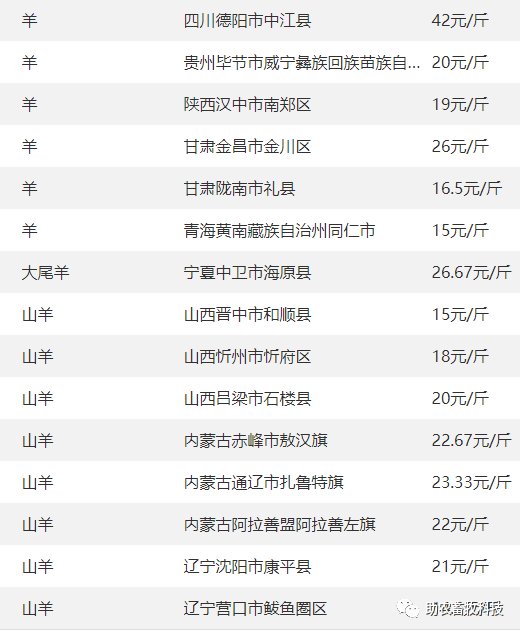 31】 今日各地肉豬,豬苗,牛羊雞鴨鵝,蛋,禽苗和.