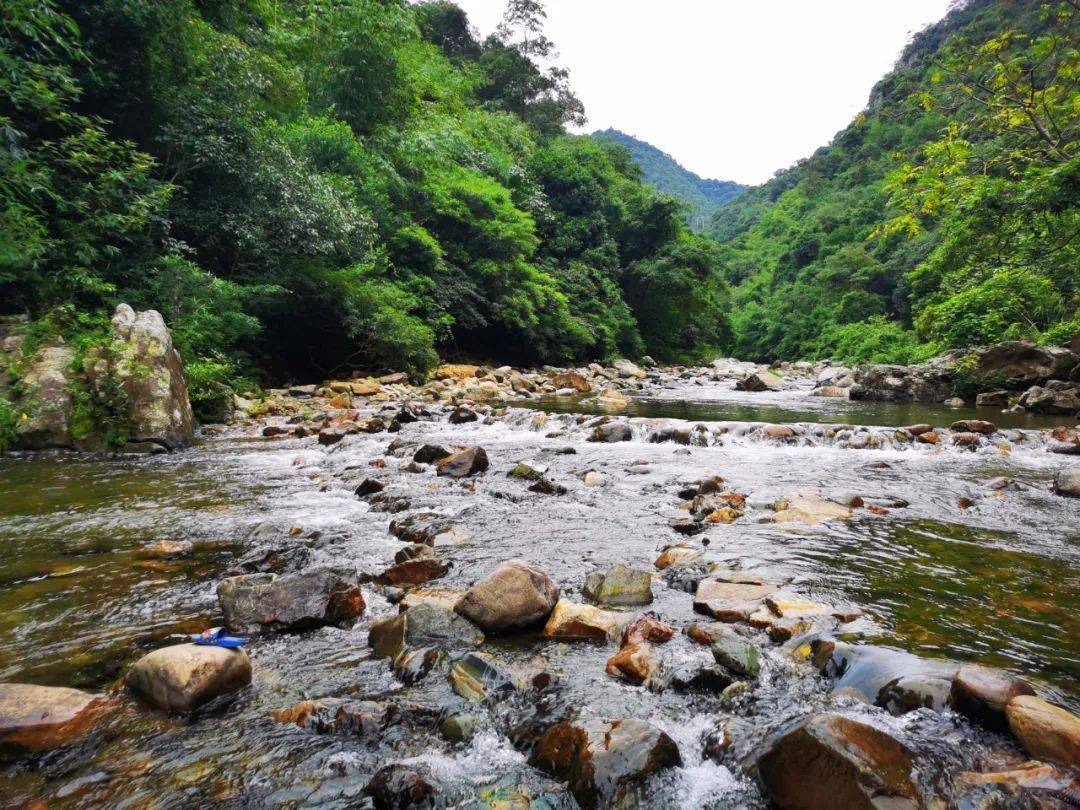 韶关始兴深渡水瑶族乡,新建生态公园,预计下月底完工!