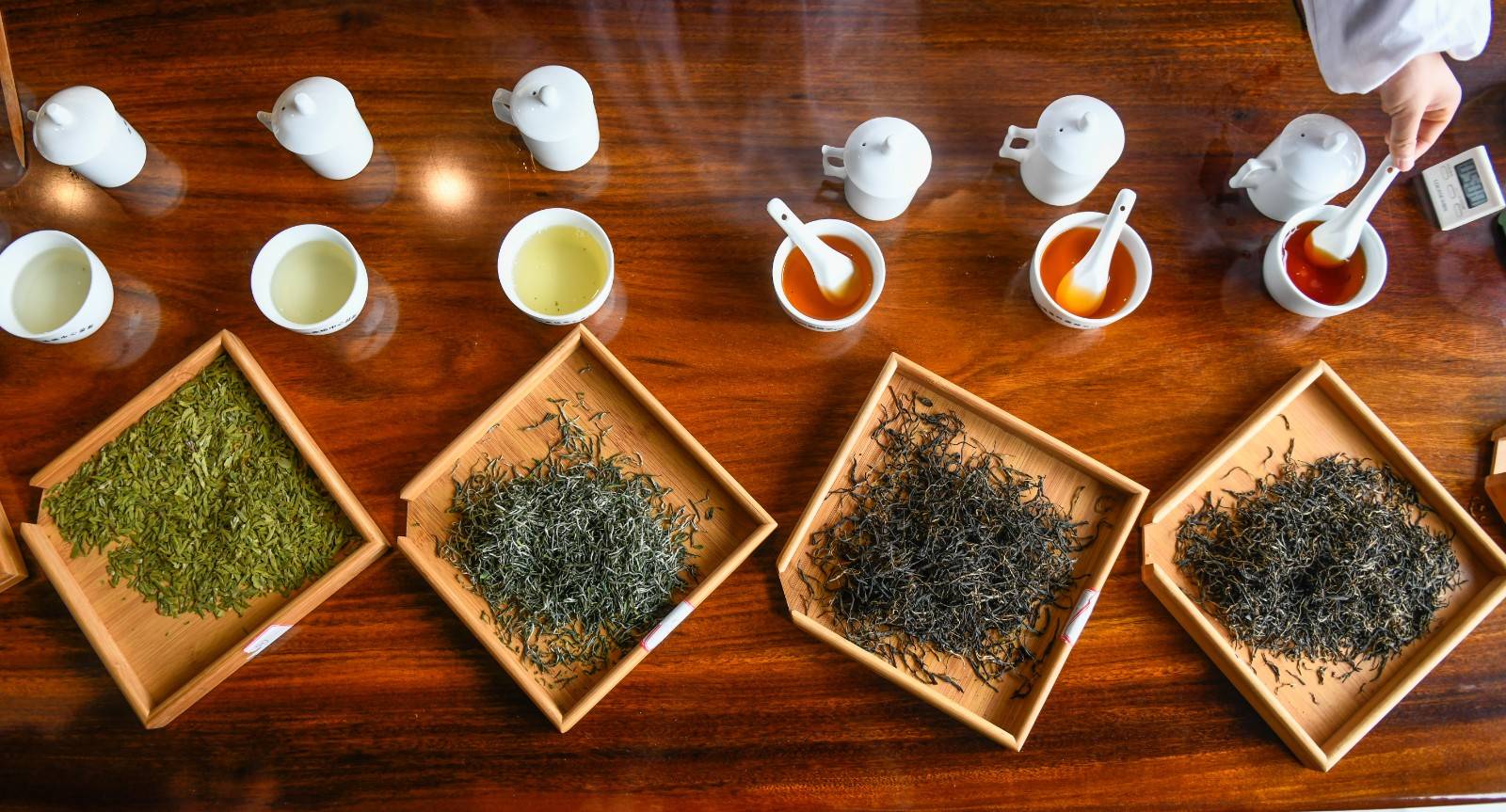 【"贵州绿茶"第一采】茶中有"天地" 由人品自得