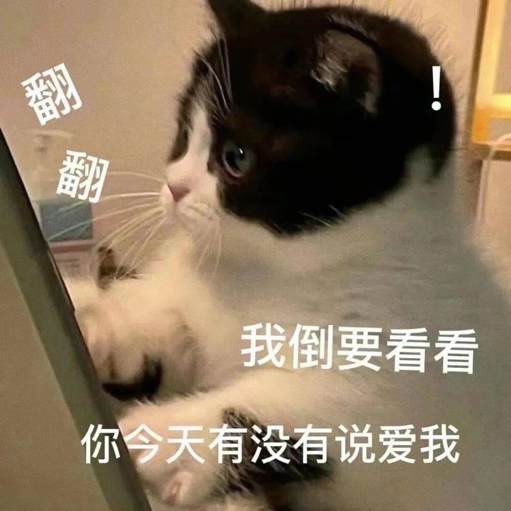 超撩人的猫咪情侣表情包 勾引到我了!