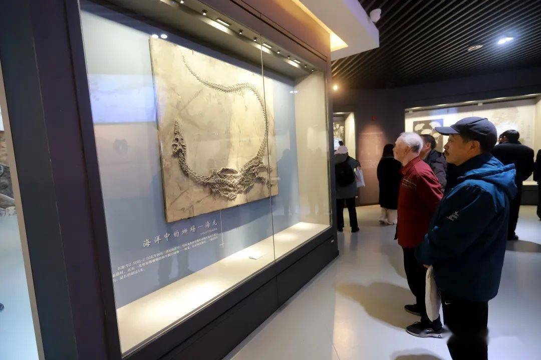 安顺市博物馆正式开馆 向公众免费开放_历史_市民_文化