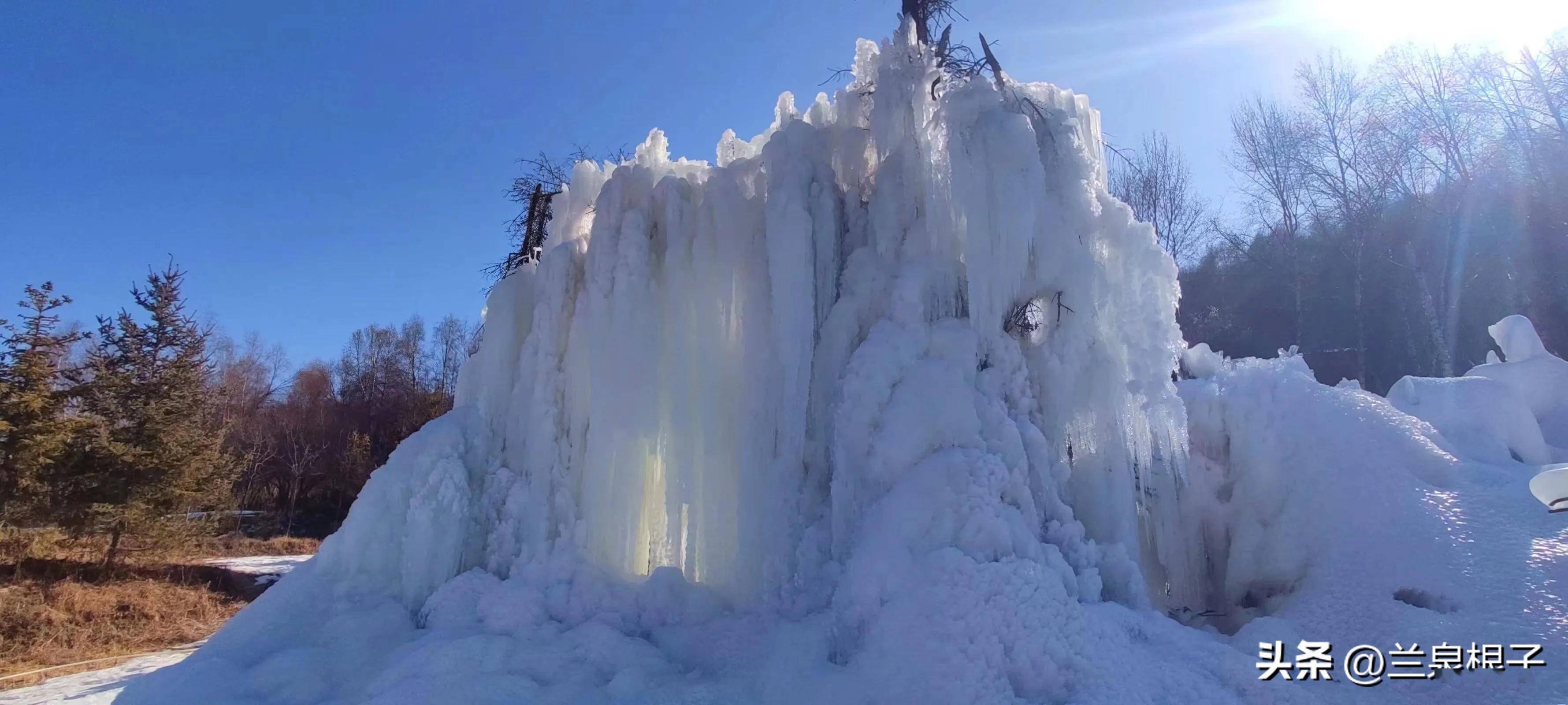 冬日的康乐白桦林景区,接纳着不少寻梦的人.