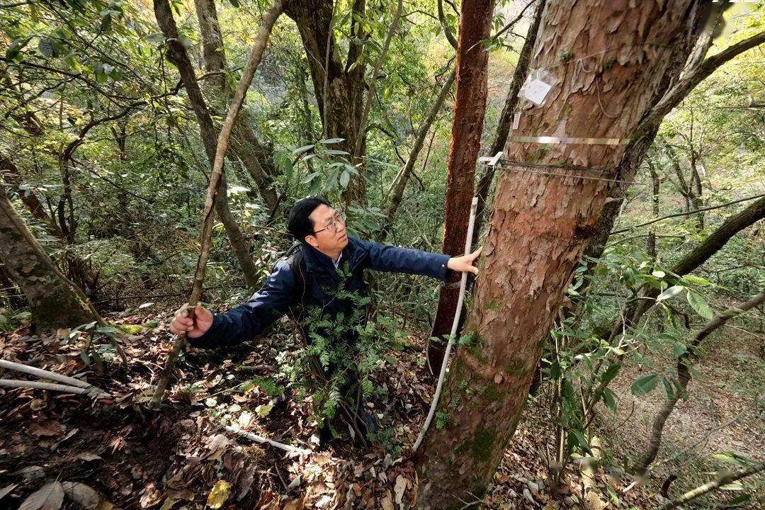 神農架生態系統國家野外科學觀測研究站中國科學院神農架生物多樣性定