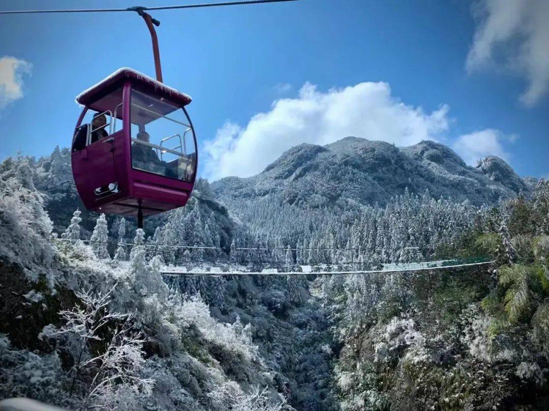冬游丽水:遂昌北斗崖滑雪季来袭,赴约喽~_坡度_激情_游客