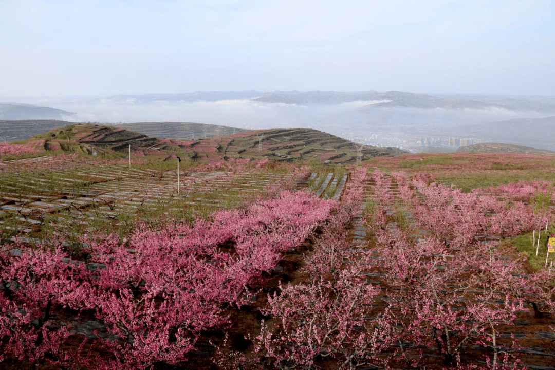 天水市秦安县:"公路 "融合发展铺就乡村振兴富民路_文化_产业_大地湾